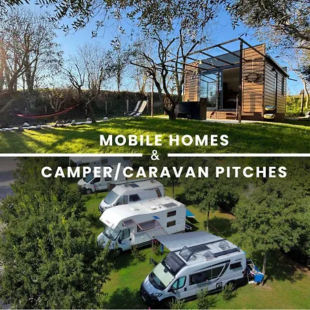 Campsite Seregner Agricamping & Homes - Adults Only 18 *