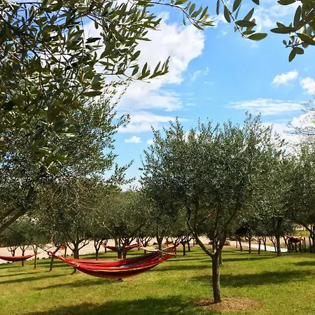 Seregner Agricamping & Homes - Adults Only 18 Campsite *